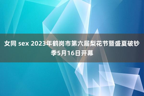 女同 sex 2023年鹤岗市第六届梨花节暨盛夏破钞季5月16日开幕